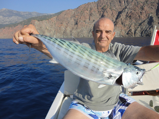 Torik Balığı Türleri ve Özellikleri